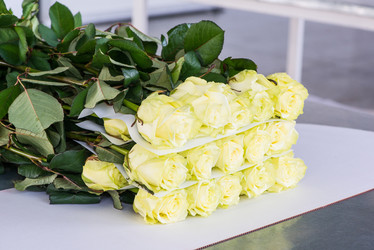 Similar image 21072718