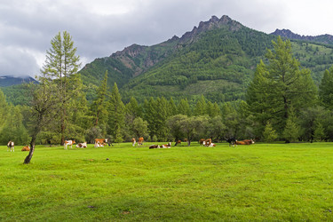 Similar image 21071495