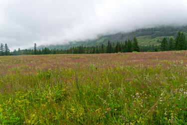 Similar image 21071496