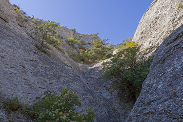 Similar image 21071500