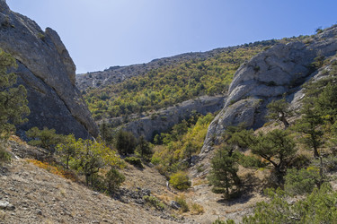 Similar image 21071512