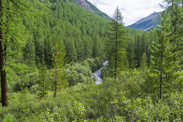 Similar image 21071514