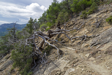 Similar image 21071515