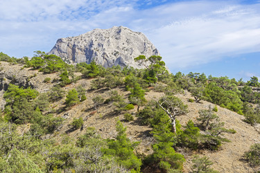 Similar image 21071516