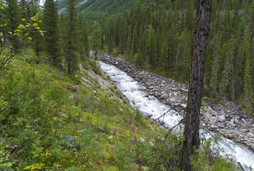 Similar image 21071518