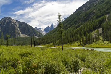 Similar image 21071519