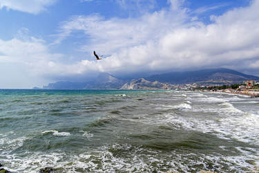 Similar image 21071520