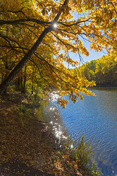 Similar image 21071529