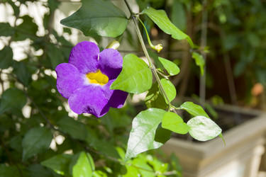 Similar image 21071564