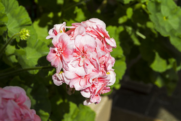 Similar image 21071566