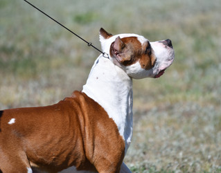 Similar image 21078366