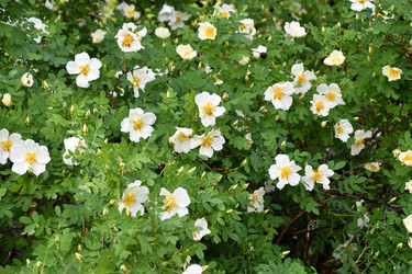 Similar image 21078367