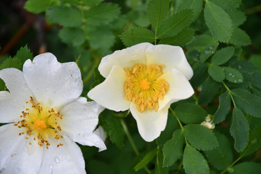 Similar image 21078368