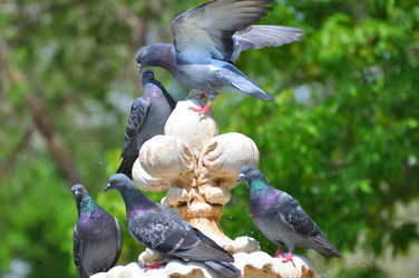 Similar image 21078369