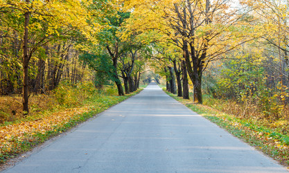 Similar image 21072502