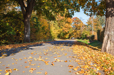 Similar image 21072504