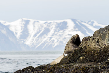 Similar image 21072583