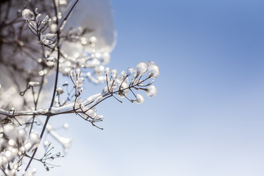 Similar image 21072584