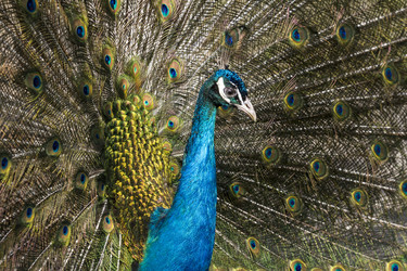 Similar image 21072592