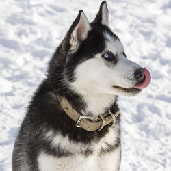 Similar image 21072593