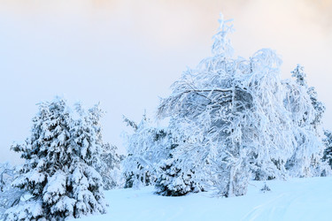 Similar image 21072596