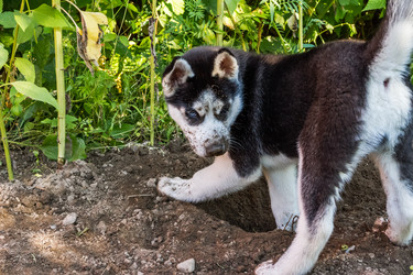 Similar image 21072597