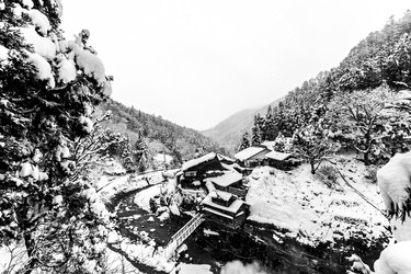 Similar image 21072600