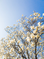 Similar image 21072610