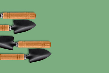 Similar image 21077913