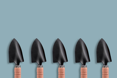 Similar image 21077914