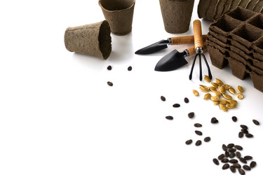 Similar image 21073831