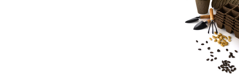 Similar image 21073833