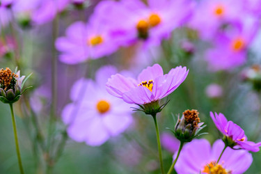 Similar image 21071580