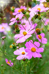 Similar image 21071581