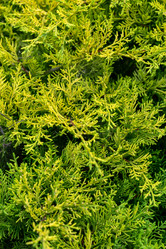 Similar image 21071582