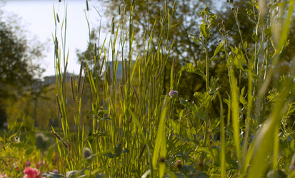 Similar image 21071359