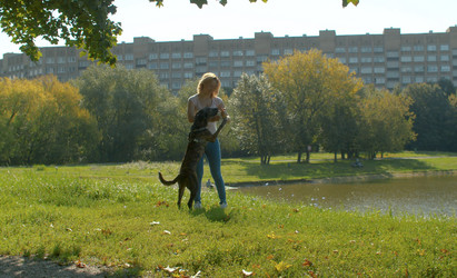 Similar image 21072636