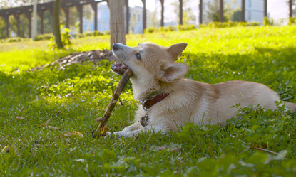 Similar image 21072666