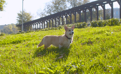 Similar image 21072670