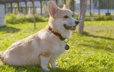 Similar image 21071506