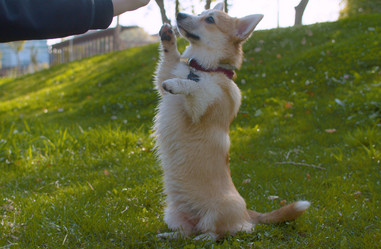 Similar image 21071507