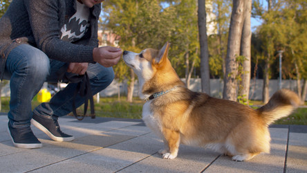 Similar image 21072640