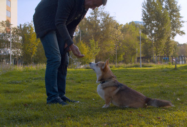 Similar image 21072641