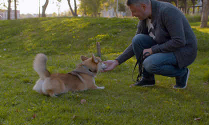 Similar image 21072642