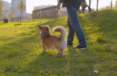 Similar image 21071369