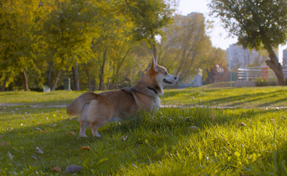 Similar image 21071370