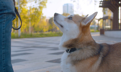 Similar image 21071371