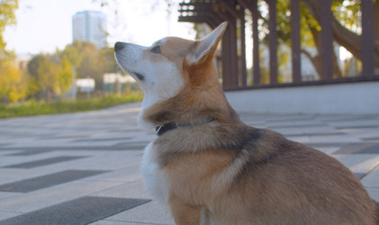 Similar image 21071372