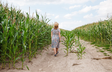 Similar image 21078829