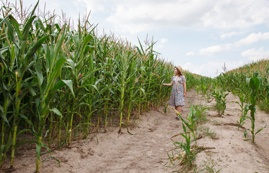 Similar image 21078831